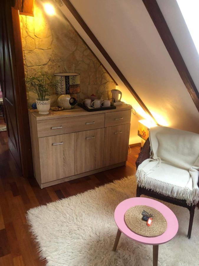 Willa Nad Popradem Bed & Breakfast Piwniczna-Zdroj Exterior photo