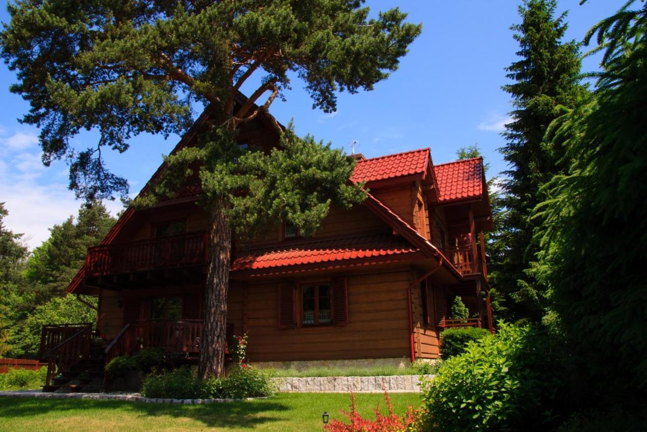 Willa Nad Popradem Bed & Breakfast Piwniczna-Zdroj Exterior photo