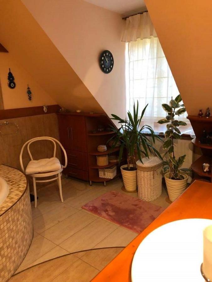 Willa Nad Popradem Bed & Breakfast Piwniczna-Zdroj Exterior photo